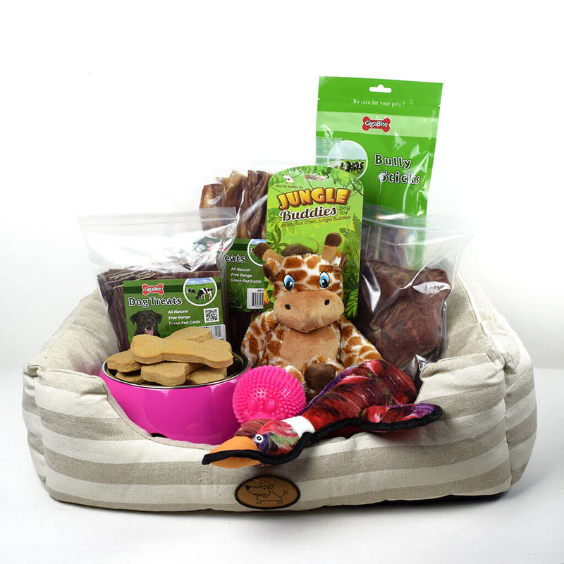 Dog birthday gift basket with bakery treats