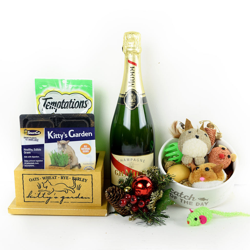 Kitty’s Garden &amp; Treats Gift Set