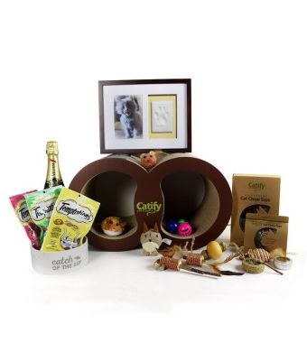 A Kitty’s Paradise Gift Set With Champagne