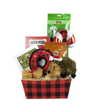Treats & More Treats Dog Gift Basket
