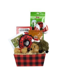 Treats & More Treats Dog Gift Basket